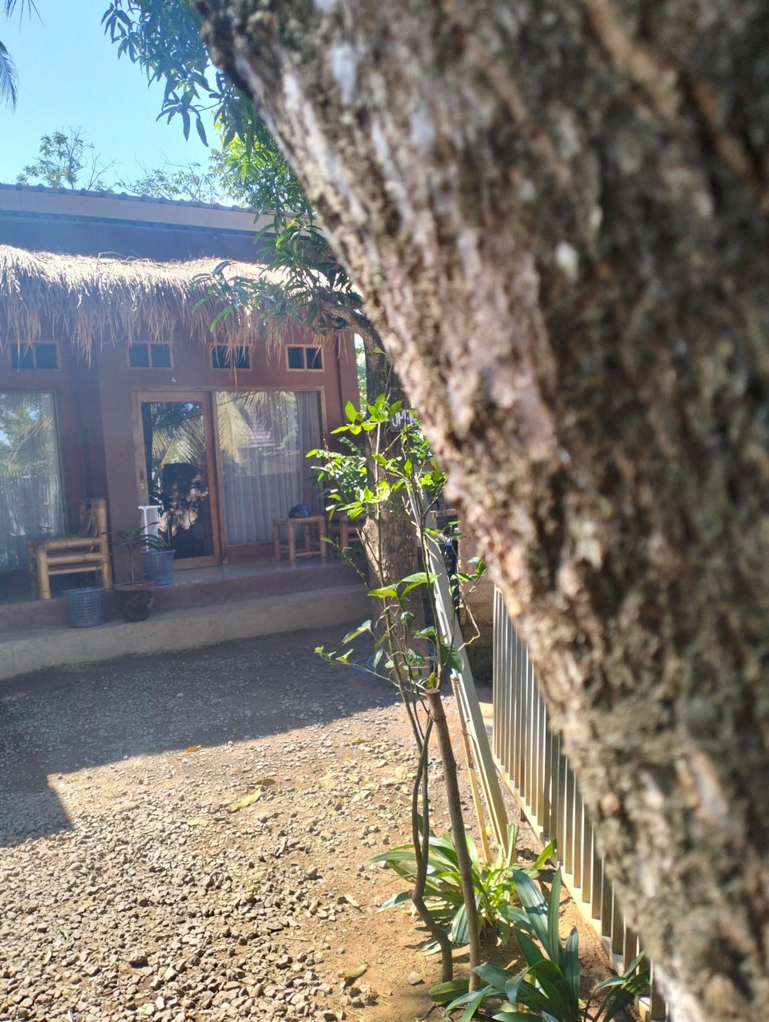 Fullmoon Homestay Kuta  Dış mekan fotoğraf